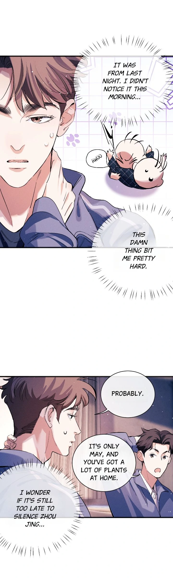 74299818 720 2400 204082